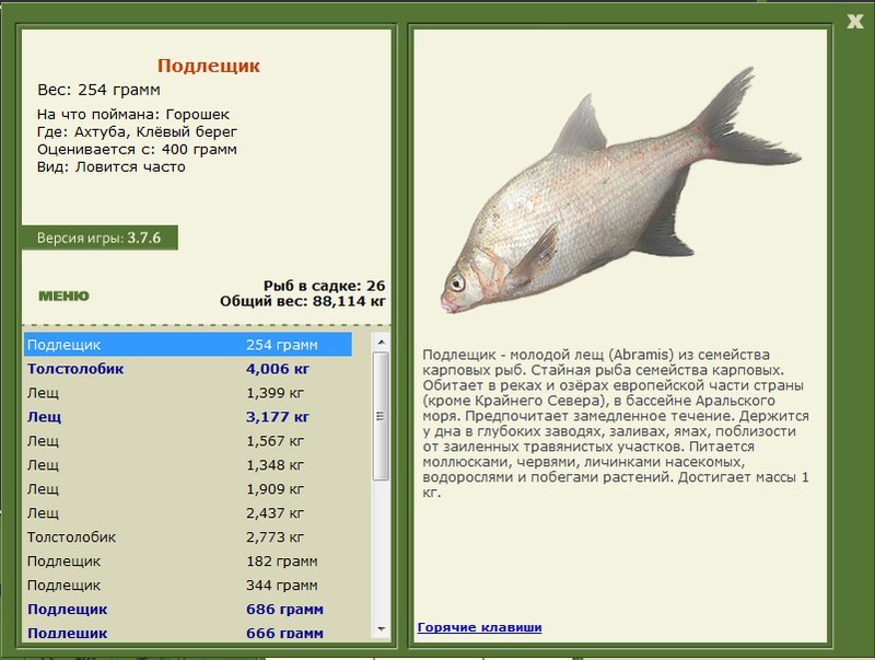 турниры • РУССКАЯ РЫБАЛКА