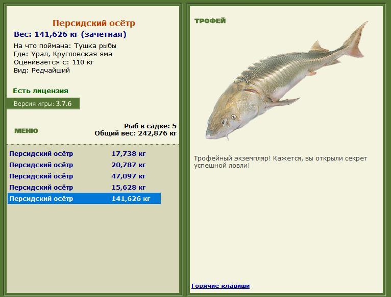 Кругловская яма 