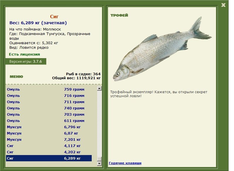 Сиг 