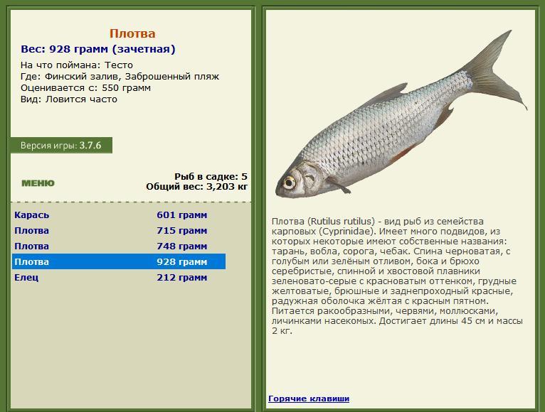 Заброшенный пляж 