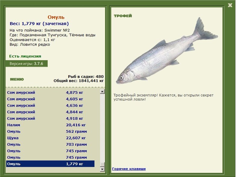 Омуль 