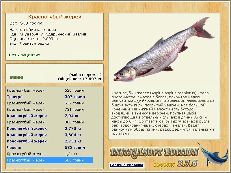 турниры • РУССКАЯ РЫБАЛКА