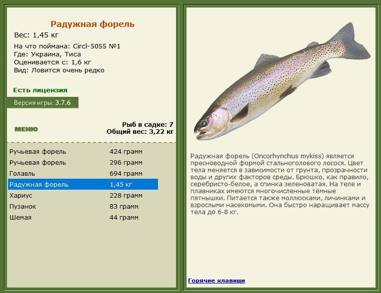 Тиса 