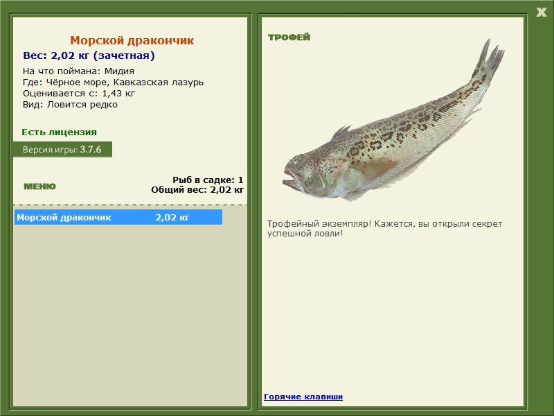 Кавказская лазурь 