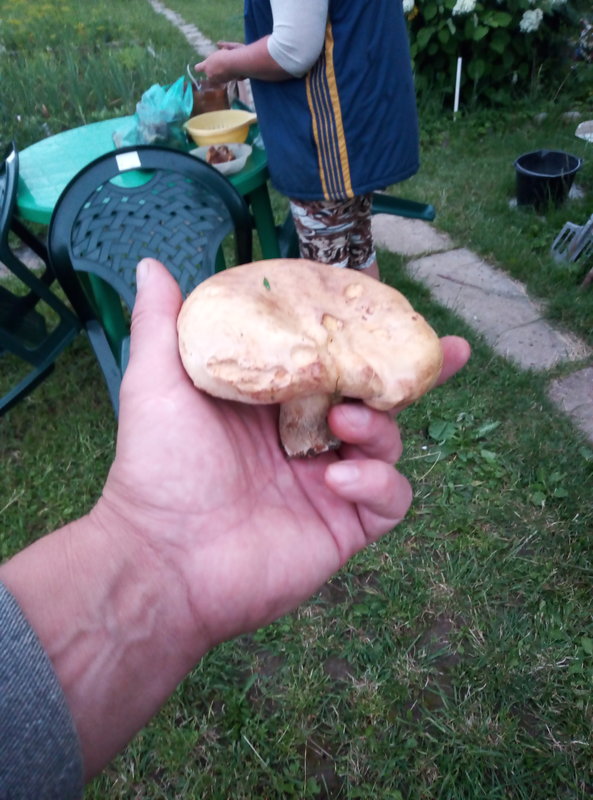  Страница 204 - Снос пятиэтажек