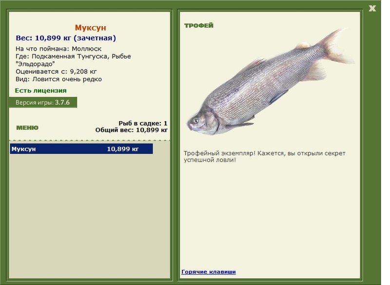 Муксун 
