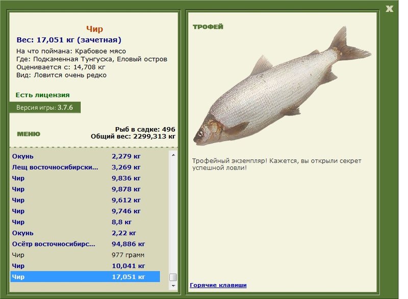 Еловый остров 