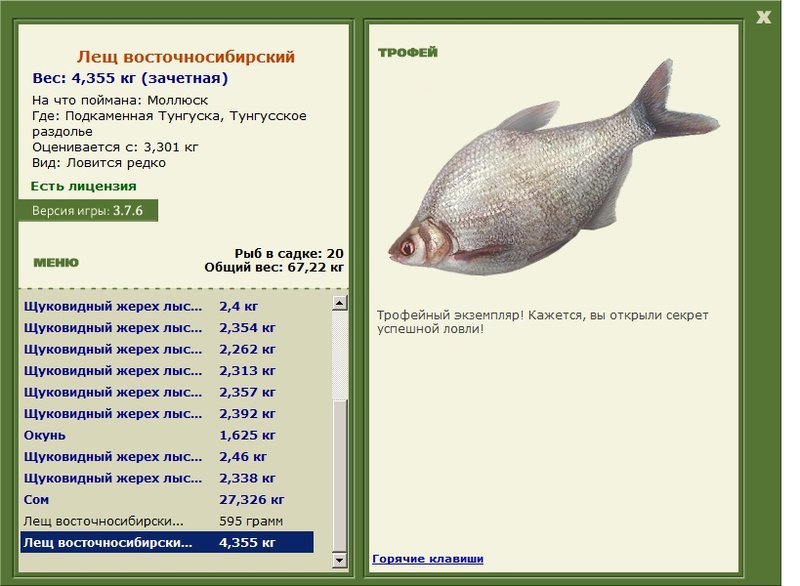 Лещ Восточносибирский 