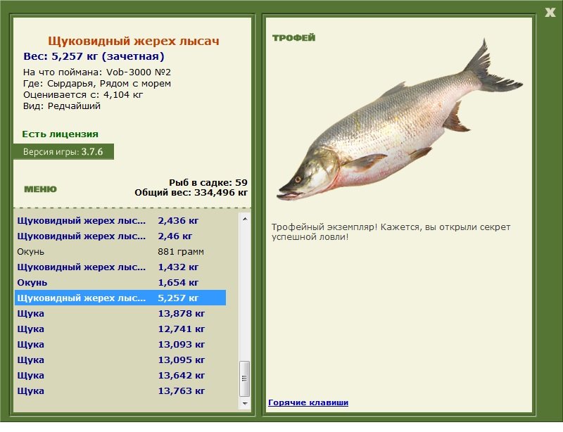 Рядом с морем 