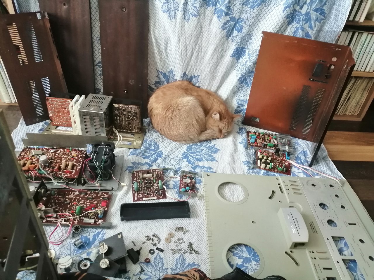  Илеть, Ростов, Союз, Снежеть и Санда - проблемы и решения!
