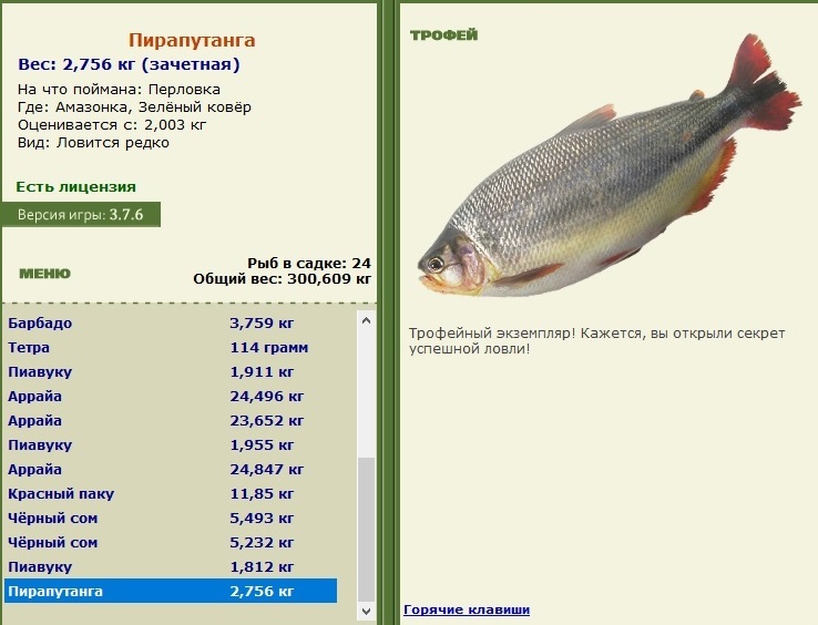 Заявки на рекорд 