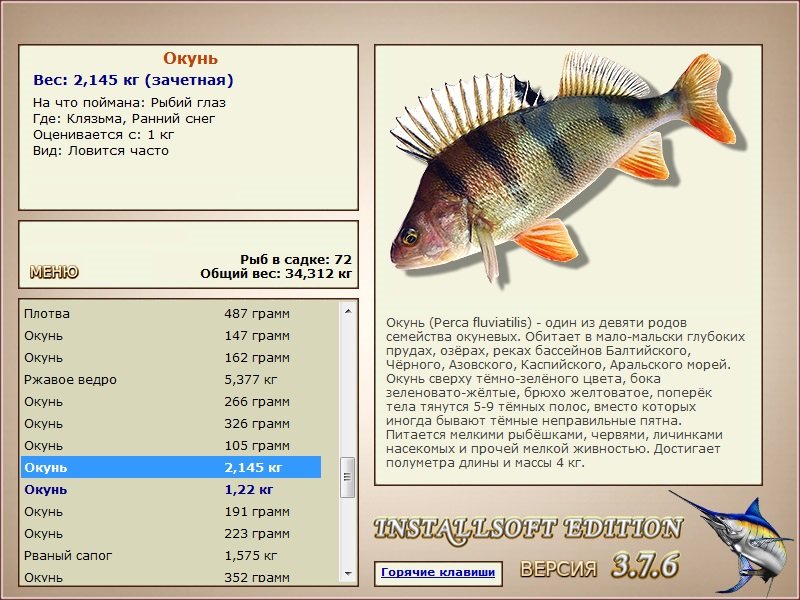 Ранний снег 