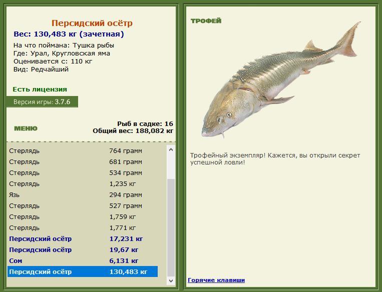 Кругловская яма 