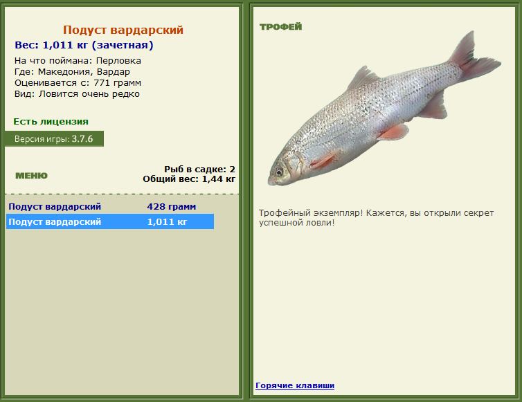 турниры • РУССКАЯ РЫБАЛКА