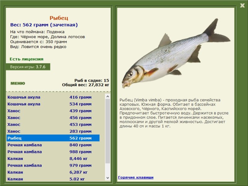 Чёрное море 