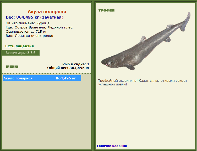 турниры • РУССКАЯ РЫБАЛКА