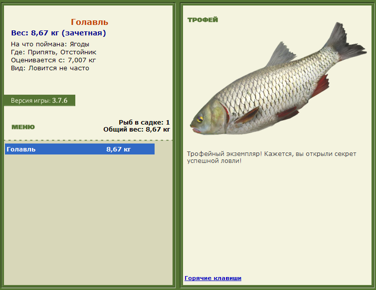 турниры • РУССКАЯ РЫБАЛКА