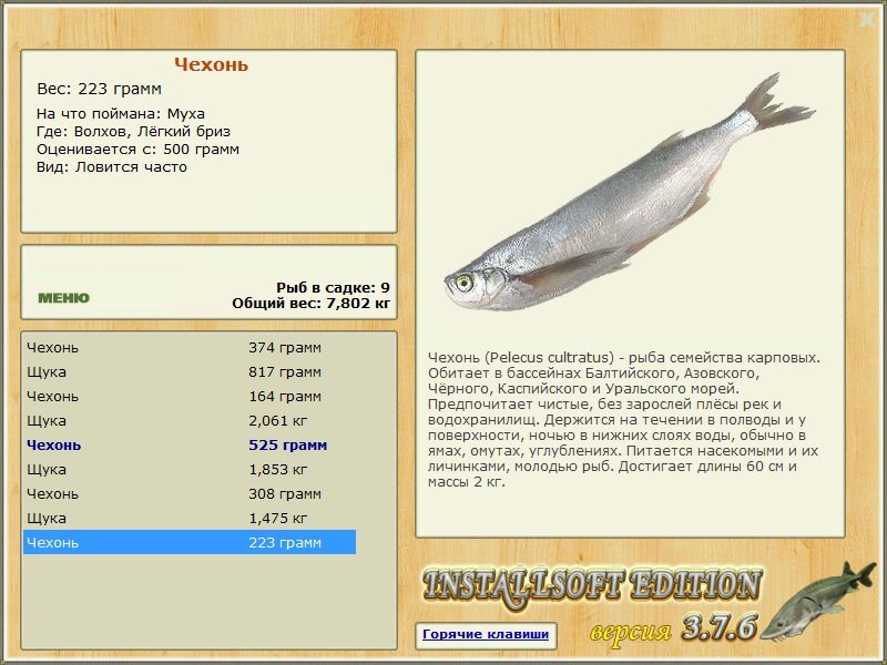 Лёгкий бриз 