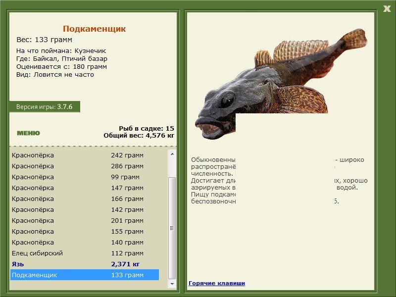 турниры • РУССКАЯ РЫБАЛКА