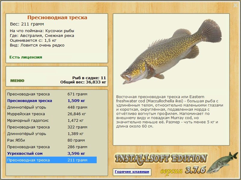 Снежная река 