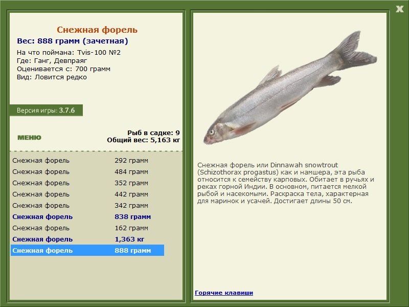 турниры • РУССКАЯ РЫБАЛКА