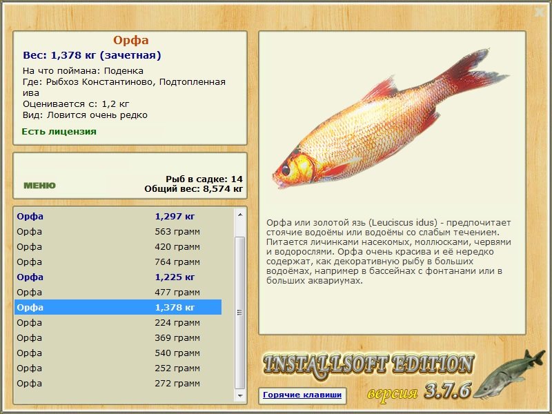 Подтопленная ива 