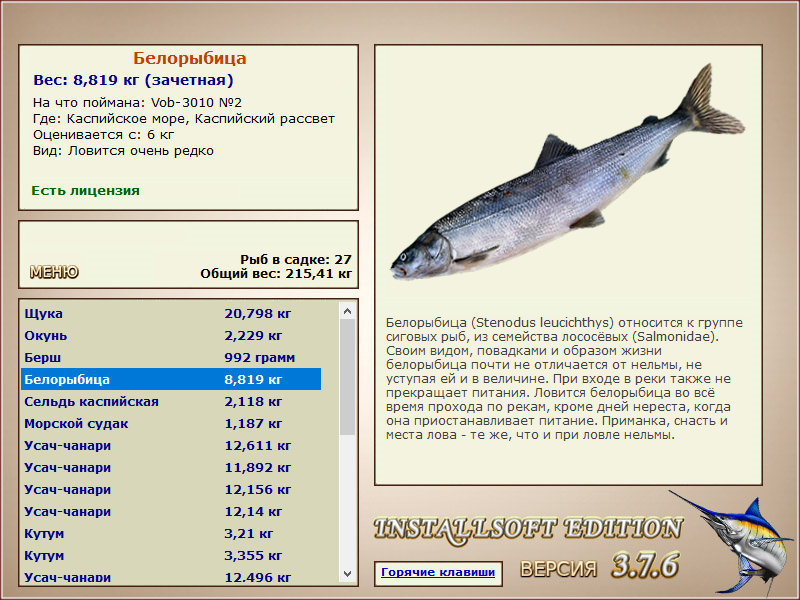 Каспийское море 