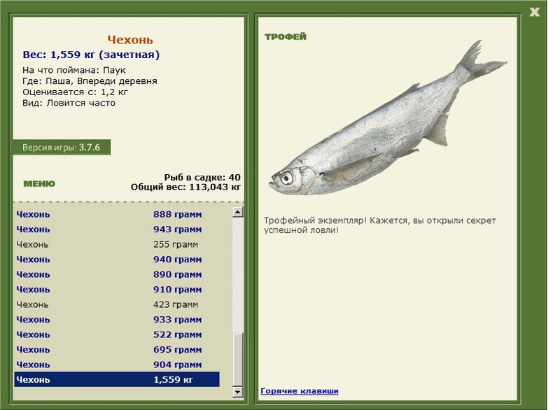 Впереди деревня 