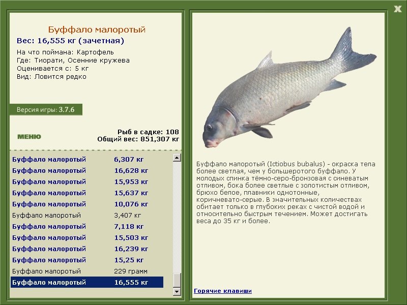 турниры • РУССКАЯ РЫБАЛКА