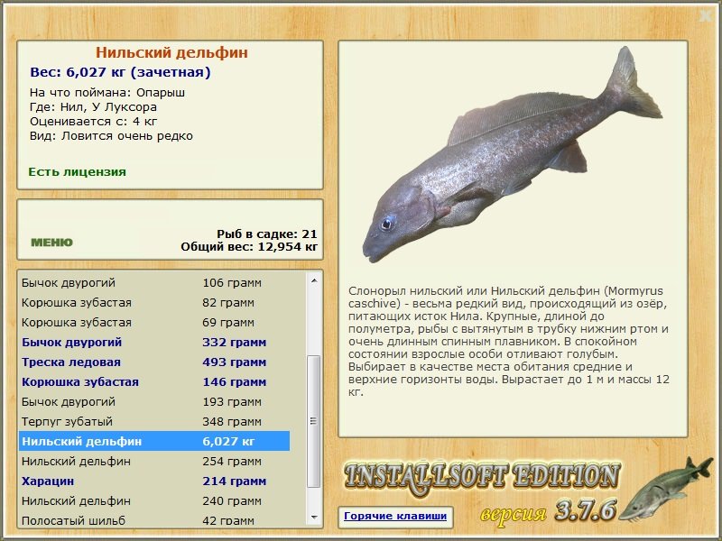 У Луксора 