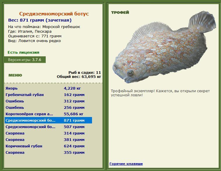Пескара 