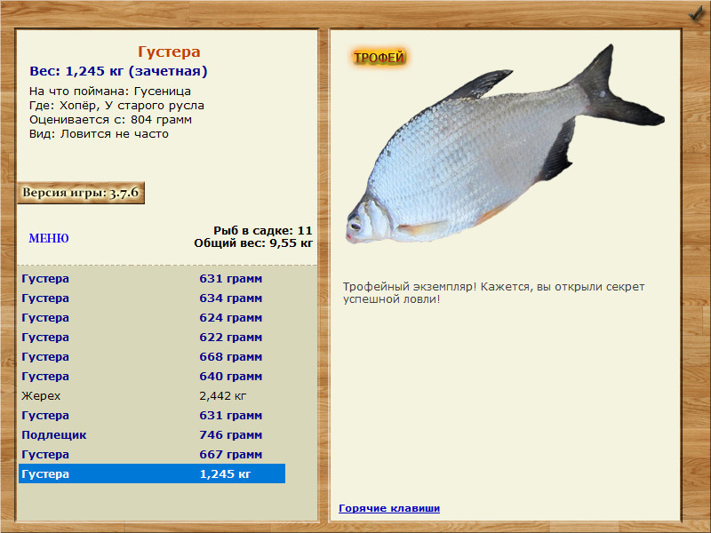 Густера 