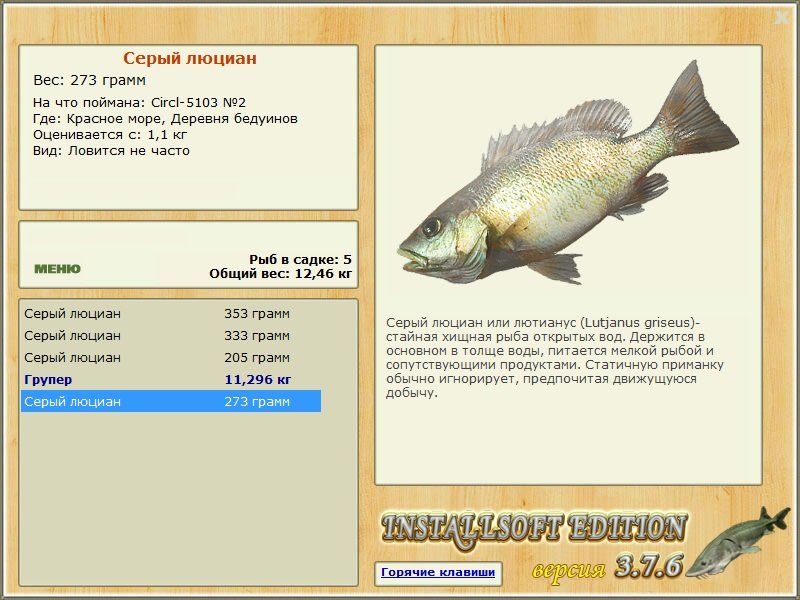 Деревня бедуинов 