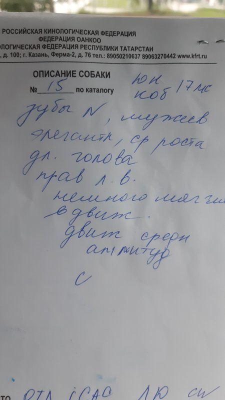 Изображение