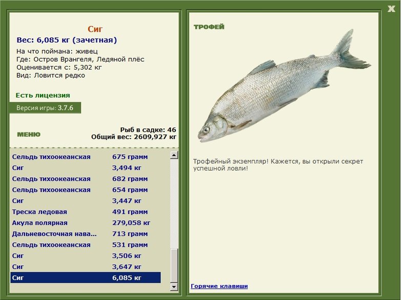 Сиг 