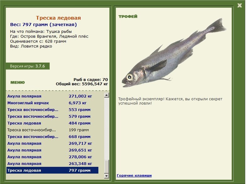 Треска ледовая 