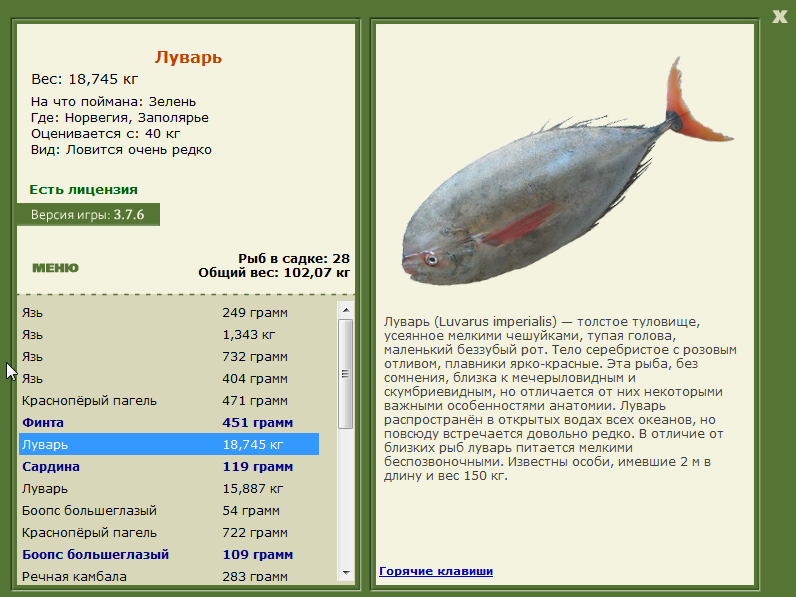 Заполярье 