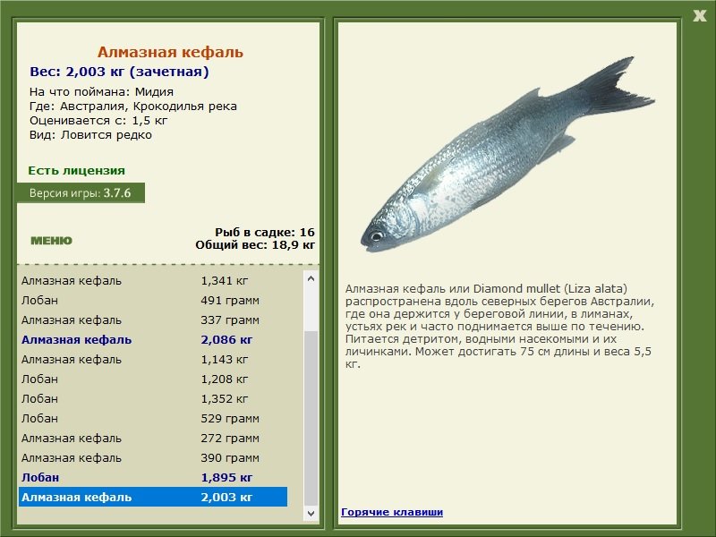 Крокодилья река 