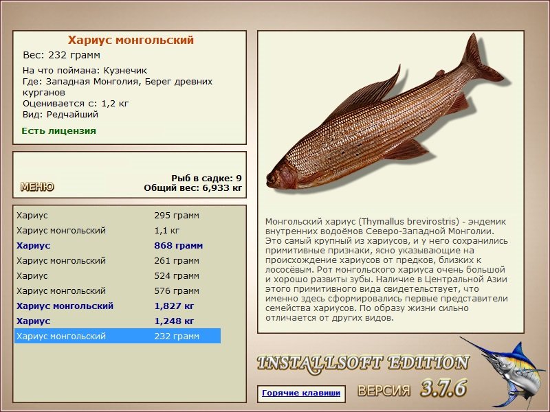 Берег древних курганов 