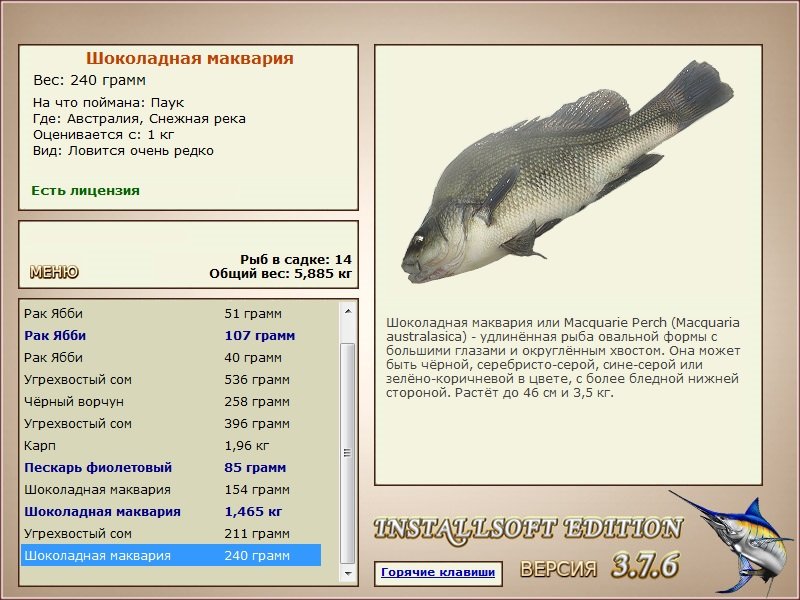 Снежная река 