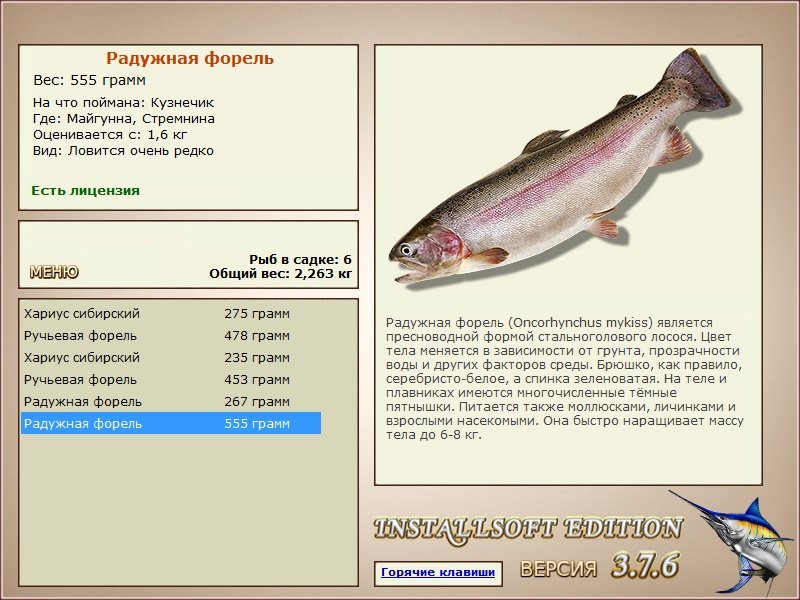 турниры • РУССКАЯ РЫБАЛКА