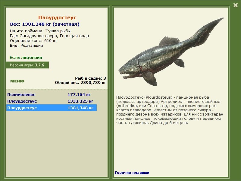 Плоурдостеус 
