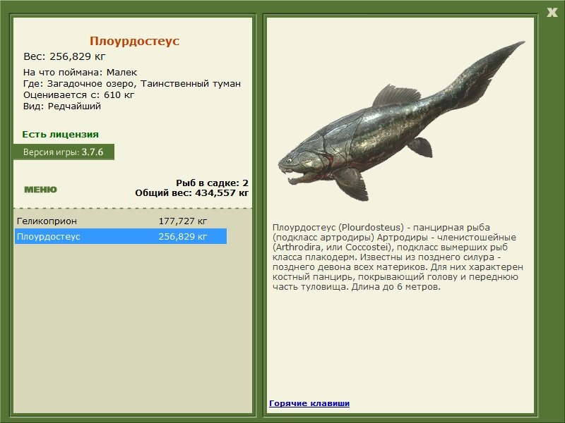 Плоурдостеус 