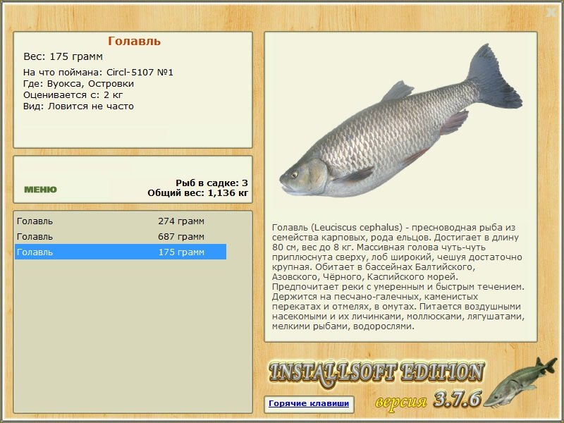 Островки 