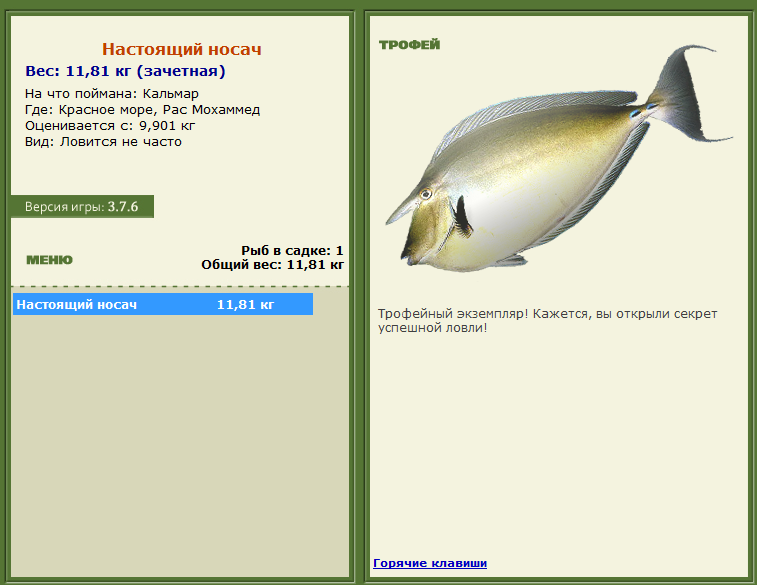 Австралия 