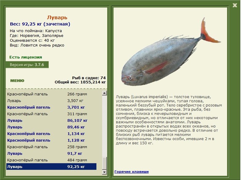 турниры • РУССКАЯ РЫБАЛКА
