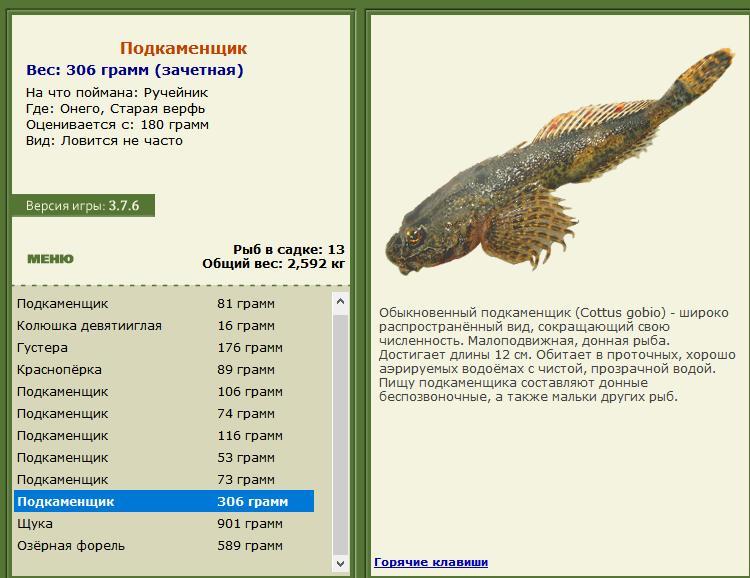 Старая верфь 