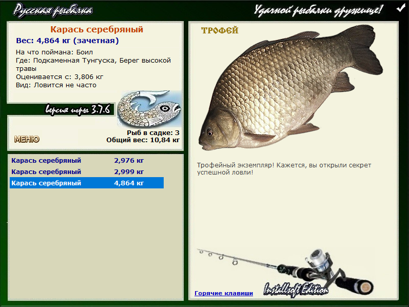 Карась серебряный 