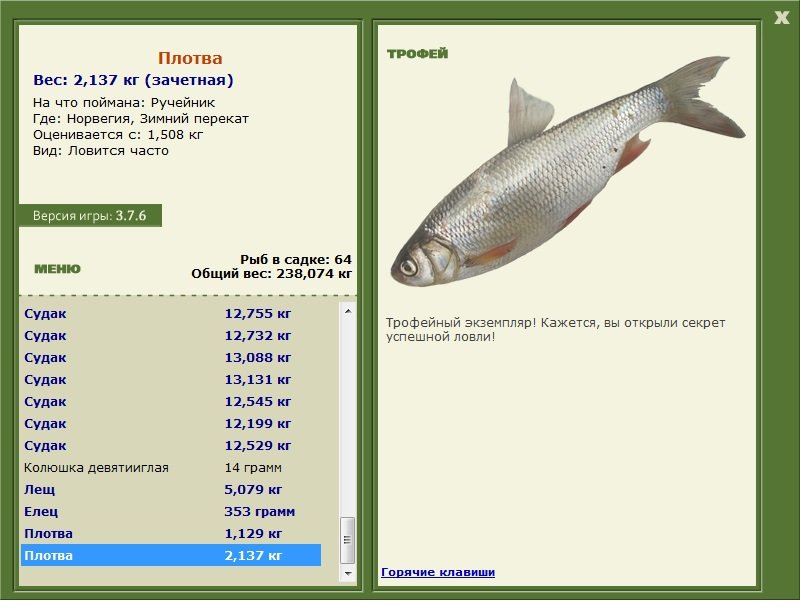 Зимний перекат 