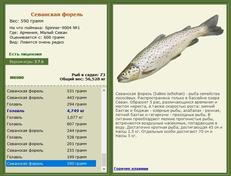 Малый Севан 